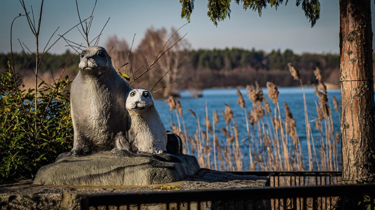 Ferienhaeuser Kiebitzsee Falkenburg Exterior foto